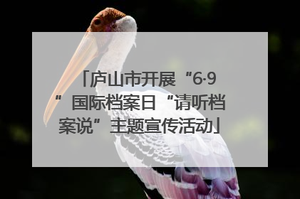 庐山市开展“6·9”国际档案日“请听档案说”主题宣传活动