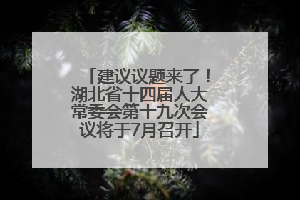 建议议题来了！湖北省十四届人大常委会第十九次会议将于7月召开