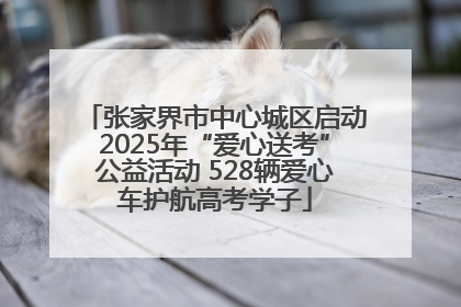 张家界市中心城区启动2025年“爱心送考”公益活动 528辆爱心车护航高考学子