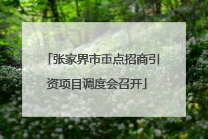 张家界市重点招商引资项目调度会召开