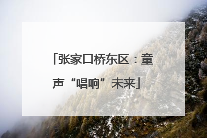 张家口桥东区：童声“唱响”未来