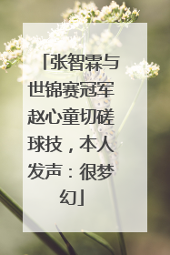 张智霖与世锦赛冠军赵心童切磋球技，本人发声：很梦幻