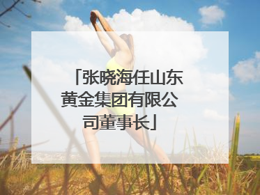 张晓海任山东黄金集团有限公司董事长