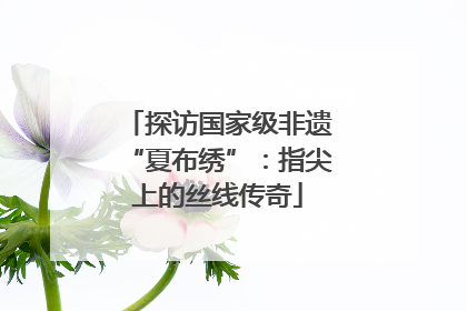 探访国家级非遗“夏布绣”：指尖上的丝线传奇