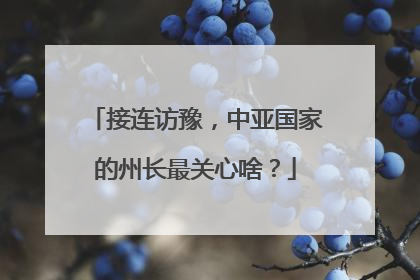 接连访豫，中亚国家的州长最关心啥？