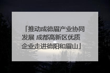 推动成德眉产业协同发展 成都高新区优质企业走进德阳和眉山