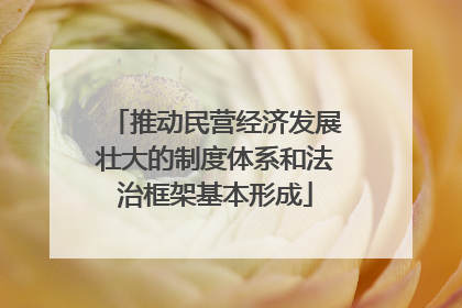 推动民营经济发展壮大的制度体系和法治框架基本形成