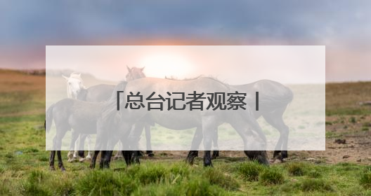 总台记者观察丨英王首次访加 “软”外交如何支持加拿大主权？