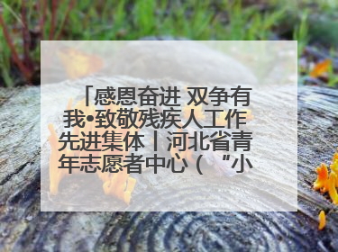 感恩奋进 双争有我•致敬残疾人工作先进集体丨河北省青年志愿者中心（“小橘灯”助残接力计划实施团队）：用温暖陪伴，守护特殊孩子成长