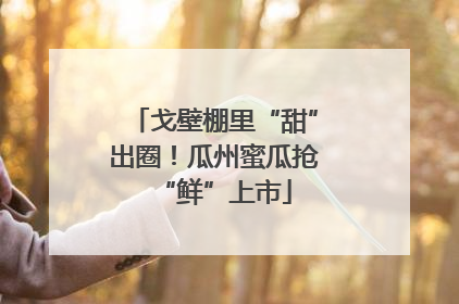 戈壁棚里“甜”出圈！瓜州蜜瓜抢“鲜”上市