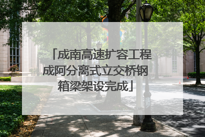 成南高速扩容工程成阿分离式立交桥钢箱梁架设完成