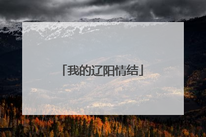 我的辽阳情结