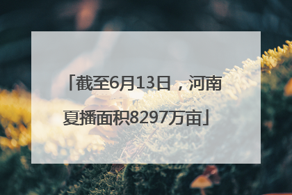 截至6月13日，河南夏播面积8297万亩