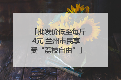 批发价低至每斤4元 兰州市民享受“荔枝自由”