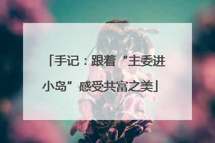 手记：跟着“主委进小岛”感受共富之美