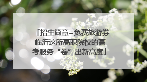 招生简章=免费旅游券 临沂这所高职院校的高考服务“卷”出新高度