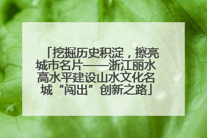 挖掘历史积淀，擦亮城市名片——浙江丽水高水平建设山水文化名城“闯出”创新之路