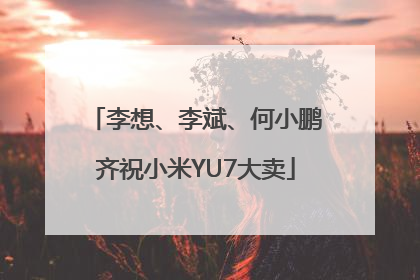 李想、李斌、何小鹏齐祝小米YU7大卖
