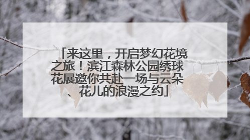 来这里，开启梦幻花境之旅！滨江森林公园绣球花展邀你共赴一场与云朵、花儿的浪漫之约