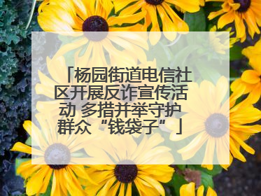 杨园街道电信社区开展反诈宣传活动 多措并举守护群众“钱袋子”