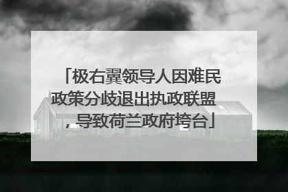 极右翼领导人因难民政策分歧退出执政联盟，导致荷兰政府垮台