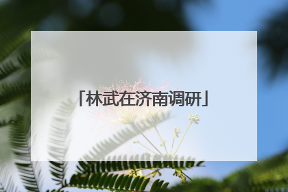 林武在济南调研