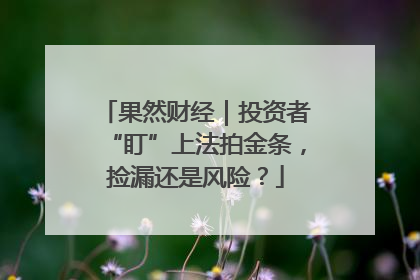 果然财经｜投资者“盯”上法拍金条，捡漏还是风险？