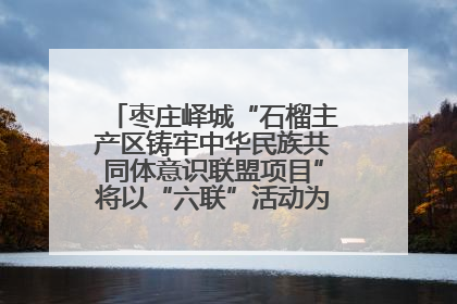 枣庄峄城“石榴主产区铸牢中华民族共同体意识联盟项目”将以“六联”活动为抓手深化品牌建设