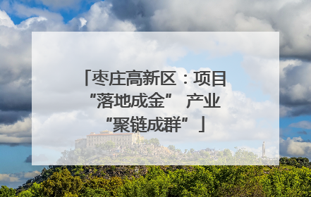 枣庄高新区：项目“落地成金” 产业“聚链成群”
