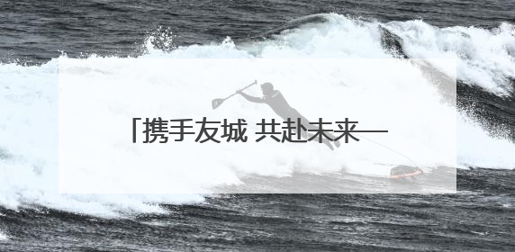 携手友城 共赴未来——2025黄河口国际友城合作交流会侧记