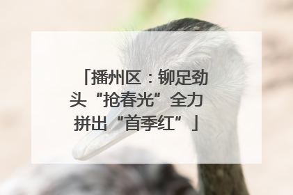 播州区：铆足劲头“抢春光”全力拼出“首季红”
