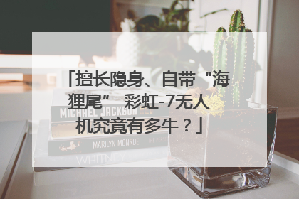 擅长隐身、自带“海狸尾” 彩虹-7无人机究竟有多牛？