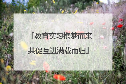 教育实习携梦而来 共促互进满载而归