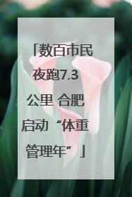 数百市民夜跑7.3公里 合肥启动“体重管理年”
