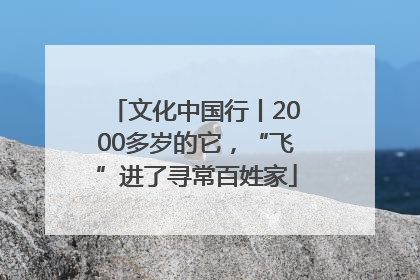文化中国行丨2000多岁的它，“飞”进了寻常百姓家