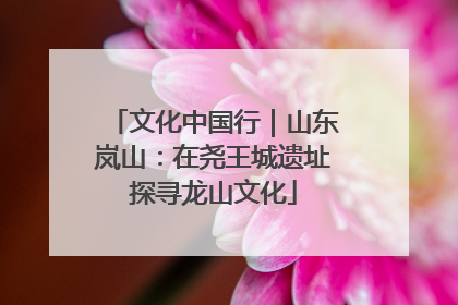 文化中国行｜山东岚山：在尧王城遗址探寻龙山文化