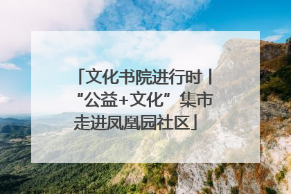 文化书院进行时丨“公益+文化”集市走进凤凰园社区