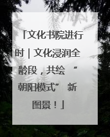 文化书院进行时｜文化浸润全龄段，共绘 “朝阳模式” 新图景！
