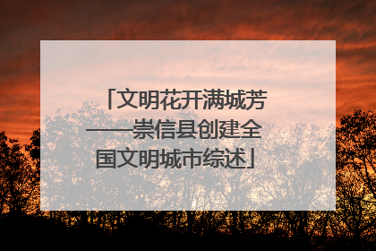 文明花开满城芳——崇信县创建全国文明城市综述
