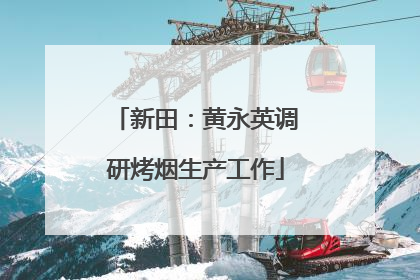 新田：黄永英调研烤烟生产工作