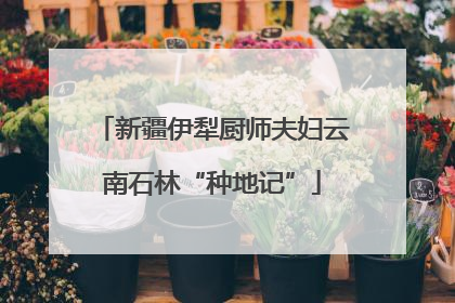 新疆伊犁厨师夫妇云南石林“种地记”