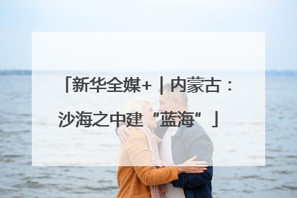 新华全媒+｜内蒙古：沙海之中建“蓝海”