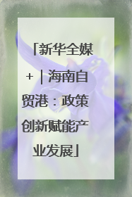 新华全媒+｜海南自贸港：政策创新赋能产业发展