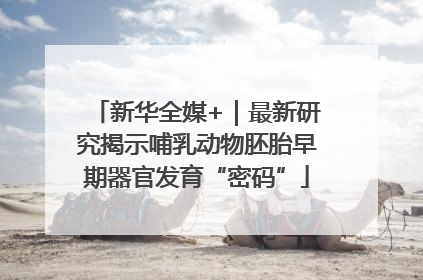 新华全媒+｜最新研究揭示哺乳动物胚胎早期器官发育“密码”