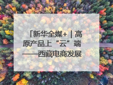 新华全媒+｜高原产品上“云”端——西藏电商发展一线观察