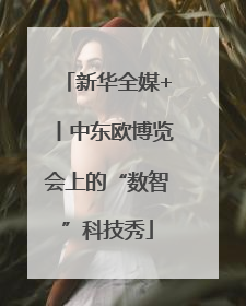 新华全媒+丨中东欧博览会上的“数智”科技秀