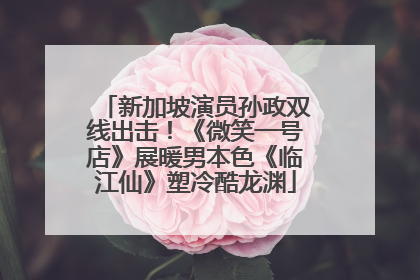 新加坡演员孙政双线出击！《微笑一号店》展暖男本色《临江仙》塑冷酷龙渊