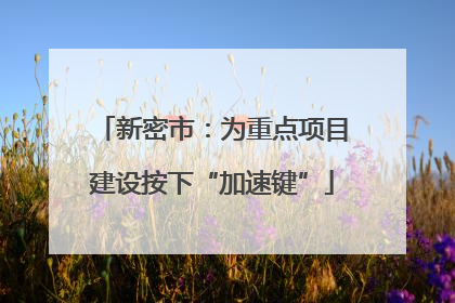 新密市：为重点项目建设按下“加速键”