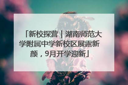 新校探营｜湖南师范大学附属中学新校区展露新颜，9月开学迎新