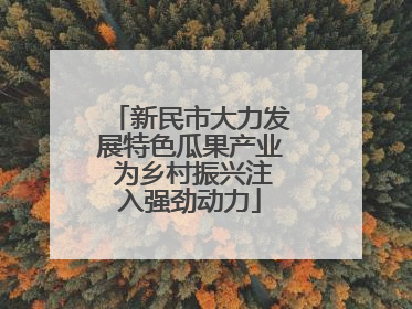 新民市大力发展特色瓜果产业 为乡村振兴注入强劲动力
